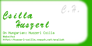 csilla huszerl business card